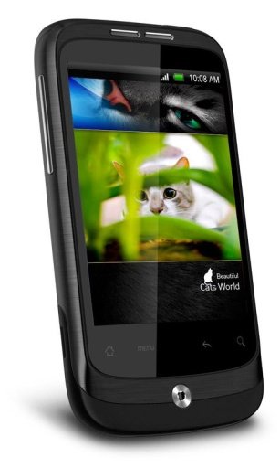 Fancy Cat HD截图2