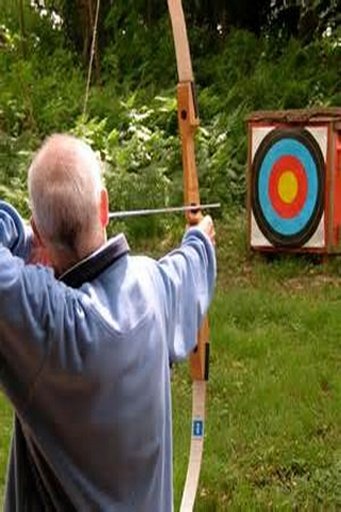 archery world截图5