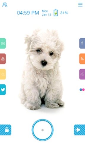 Puppy - Start Theme截图10