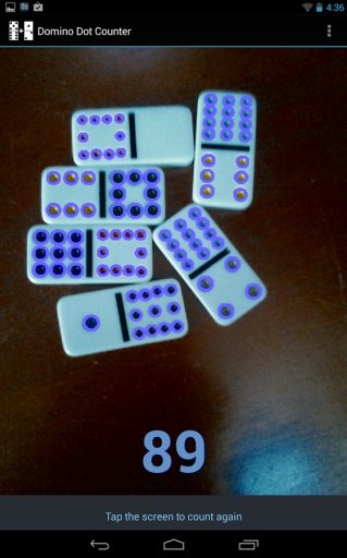 Domino Dot Counter Demo截图1