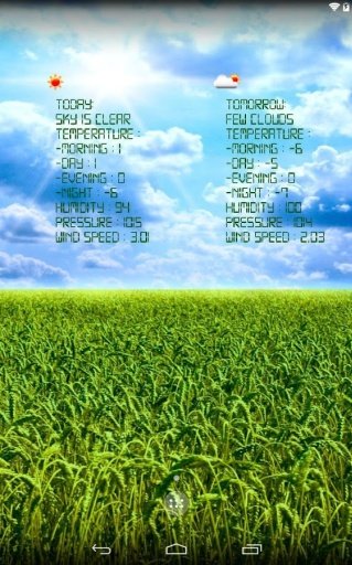 Real weather wallpaper截图8