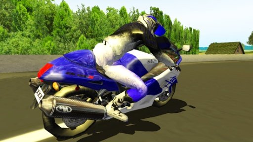 Adrenalin Super Bike Racing截图7