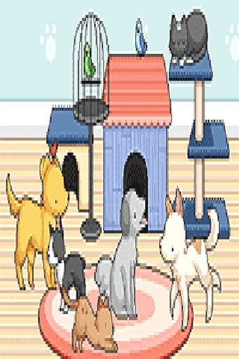 Pet Home Design Daycare截图3