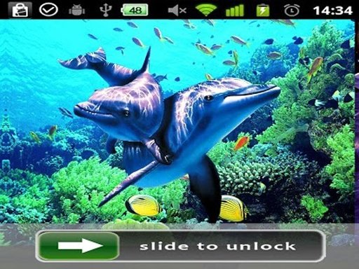 Dolphin Theme Lock Screen截图3