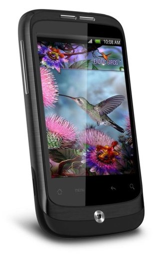 Colibri Aqua 3D Live Wallpaper截图2