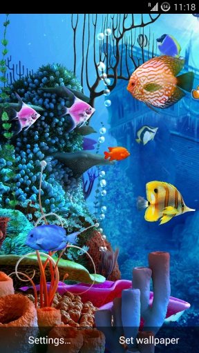 aniPet Aquarium HD LWP截图2