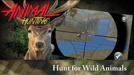 Animal Hunting 3D截图2