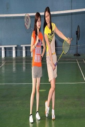 Badminton Game Photo Puzzle截图3