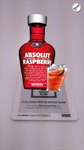 Absolut Blank Reveal截图2