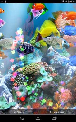 aniPet Aquarium LWP截图1