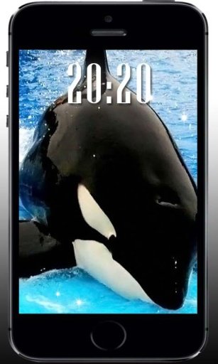 Whale Killer Sea livewallpaper截图2