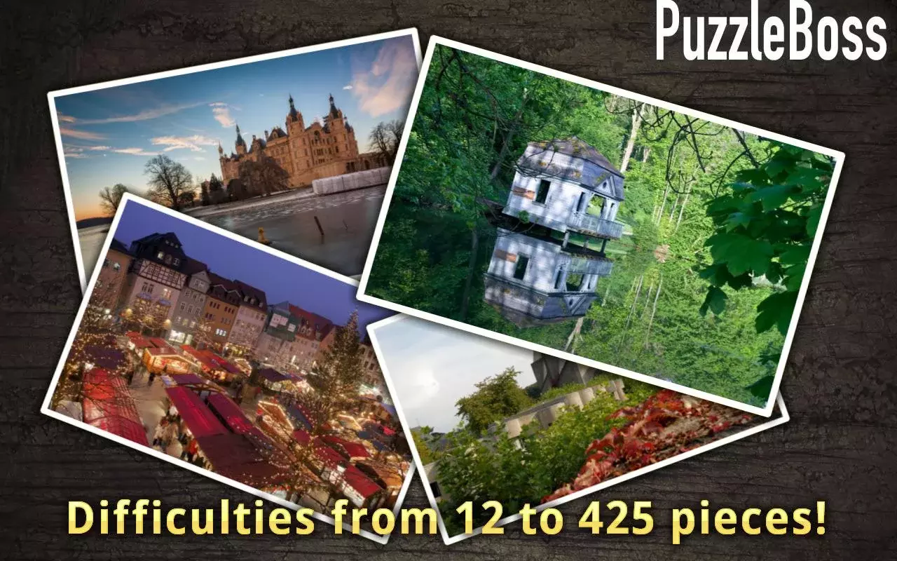 German Jigsaw Puzzles FREE截图4