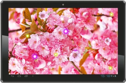 Sakura Japan live wallpaper截图6