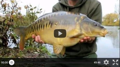 Carp Fishing Tips &amp; Techniques截图4