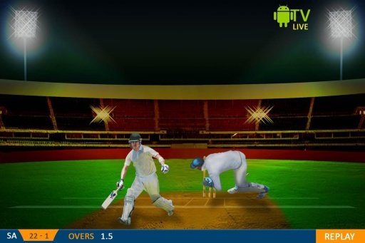 Cricket Fever Forever截图2