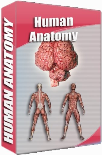 Human Anatomy Atlas截图4