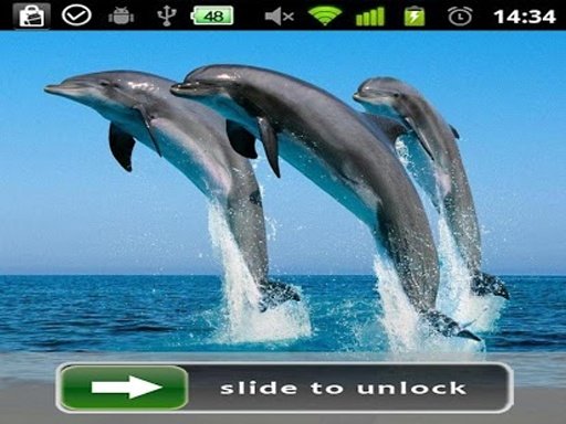 Dolphin Theme Lock Screen截图4