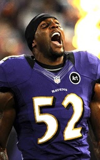 Ray Lewis Games截图6