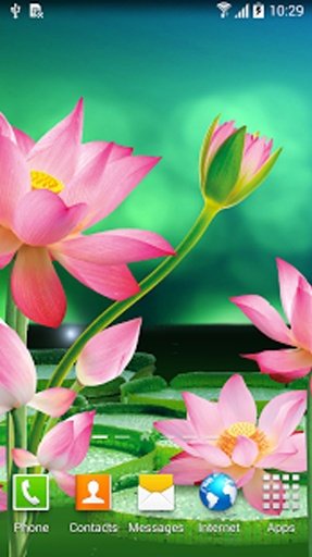 Lotus Flowers Live Wallpaper截图1