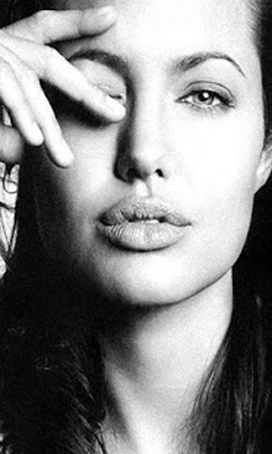 Angelina Jolie Game Puzzle截图3