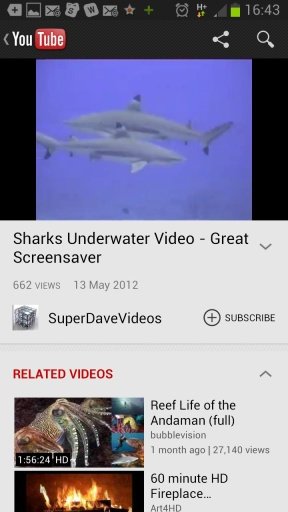 The Sharks app截图2