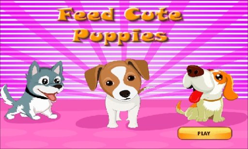 Feed Cute Puppies Star Feeding截图1