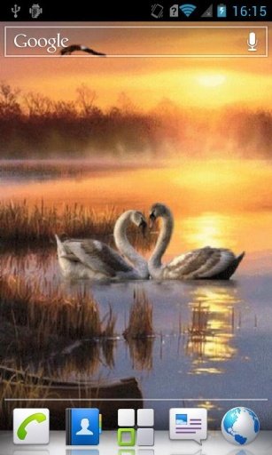 Swans at sunset Live Wallpaper截图1