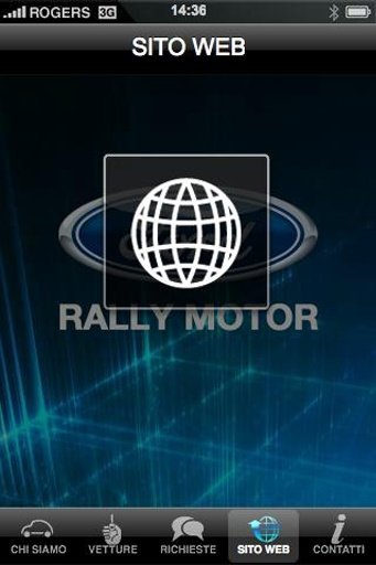 RALLY MOTOR截图1