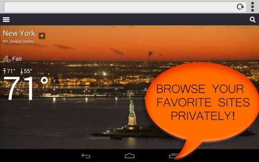 My Private Browser截图3