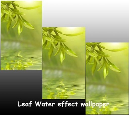Water Ripple Wallpaper截图2