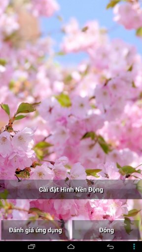 Sakura HD Live Wallpaper截图1