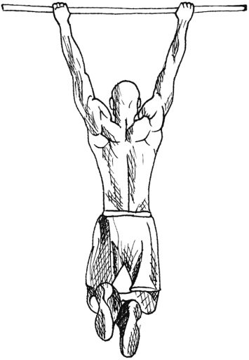 Pull Ups King Workout Free截图1