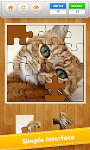 Jigsaw Pet Cat截图3