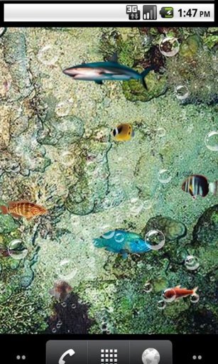 Top fish Live Wallpaper截图2