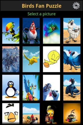 Birds Fan Puzzle截图8