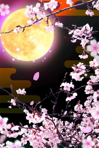 Cherry Blossoms at Night Trial截图1