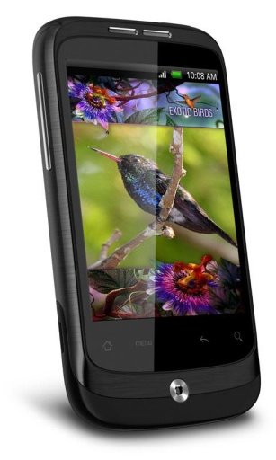 Colibri Aqua 3D Live Wallpaper截图3