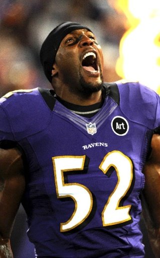 Ray Lewis Games截图3