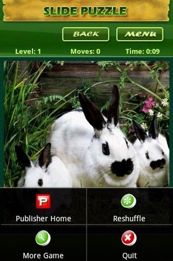 Slide-Puzzle: Bunny Rabbit截图1