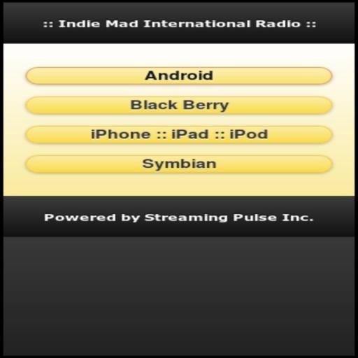 Indie Mad Mp3 Radio截图1