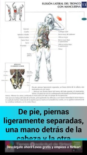 Ejercicios Abdominales Total截图6