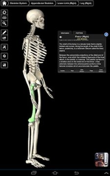 Essential Skeleton 3截图