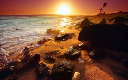 Beach Sun Wallpapers HD截图7