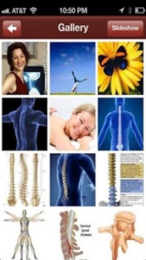 Gentle Touch Chiropractic截图7