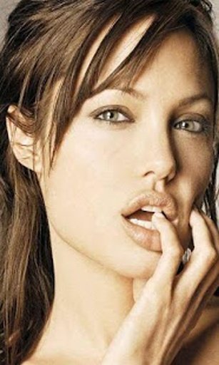 Angelina Jolie Game Puzzle截图6