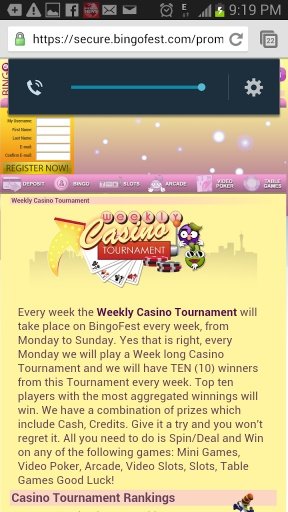 Play BingoFest Online截图1