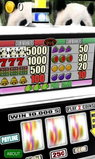 3D Panda Slots - Free截图4