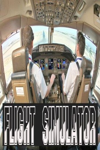 Boeing Plane Simulator 2014截图4