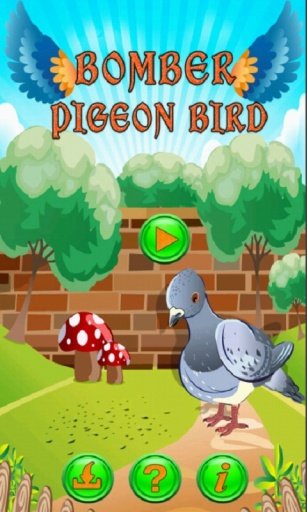 Bomber Pigeon Bird截图1