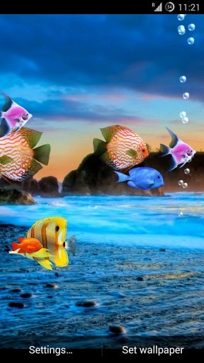 aniPet Aquarium HD LWP截图4